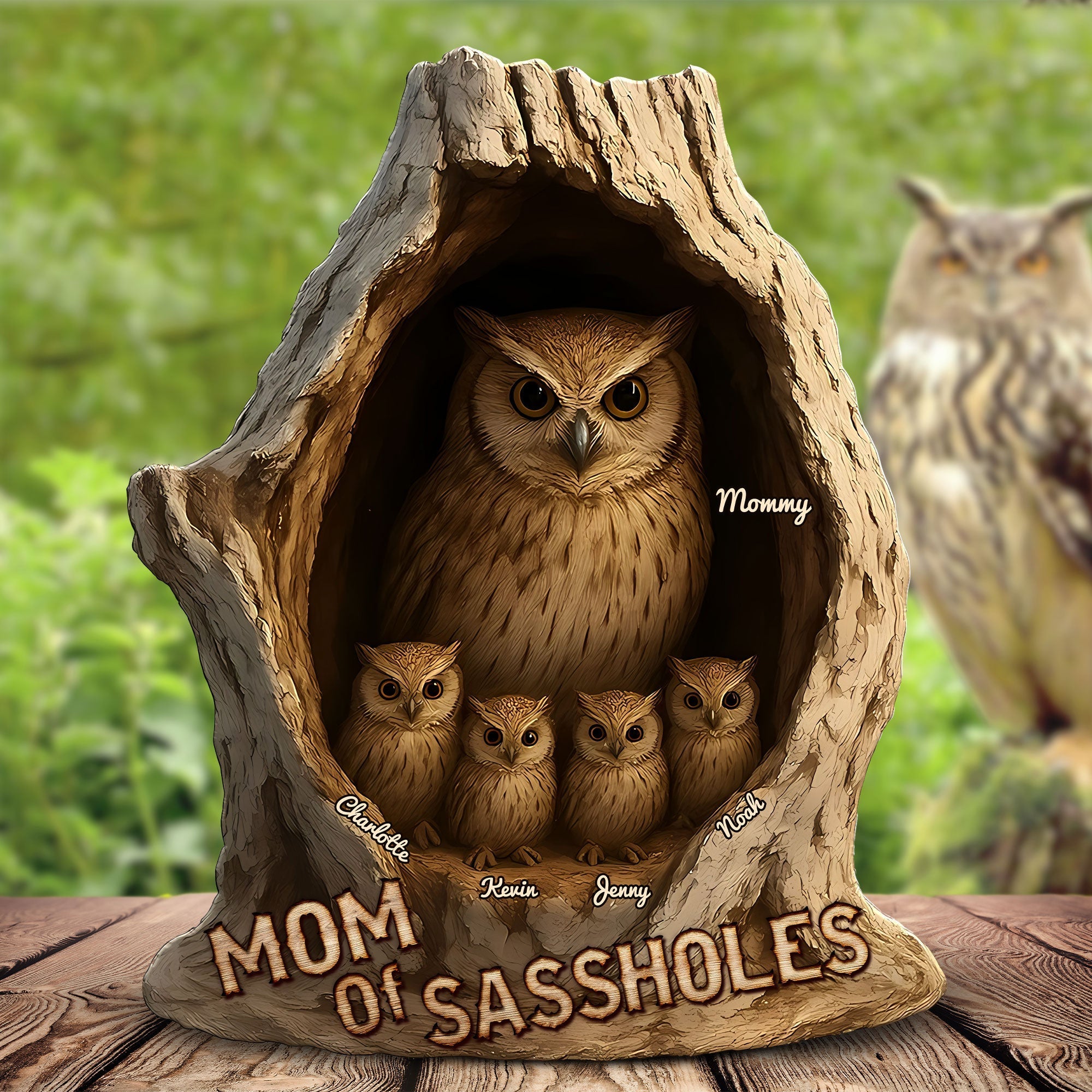 Personalized Gifts For Mom Plaque Mother's Day Owl Mom 04OHTI010425